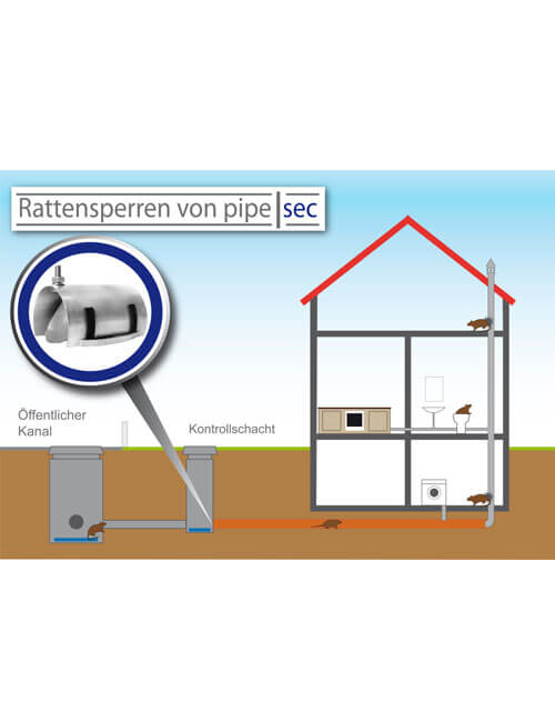Pipe Sec Rattensperre Rattenklappe Fur Den Revisionsschacht Kaufen
